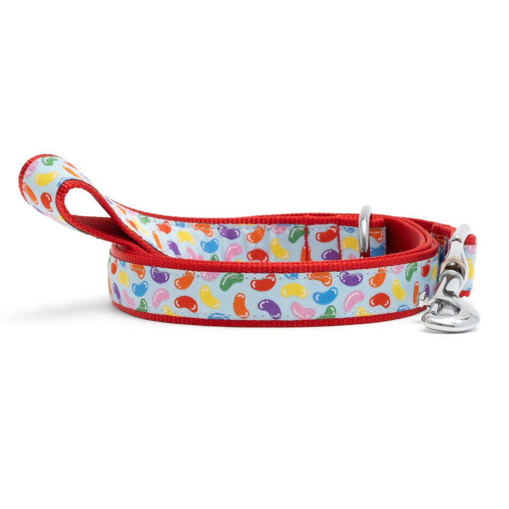 Jelly Beans Collection Dog Collar or Leads