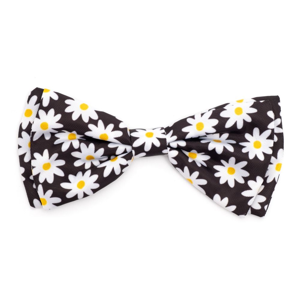 Black Lazy Daisy Collection Neckwear
