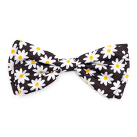 Black Lazy Daisy Collection Neckwear