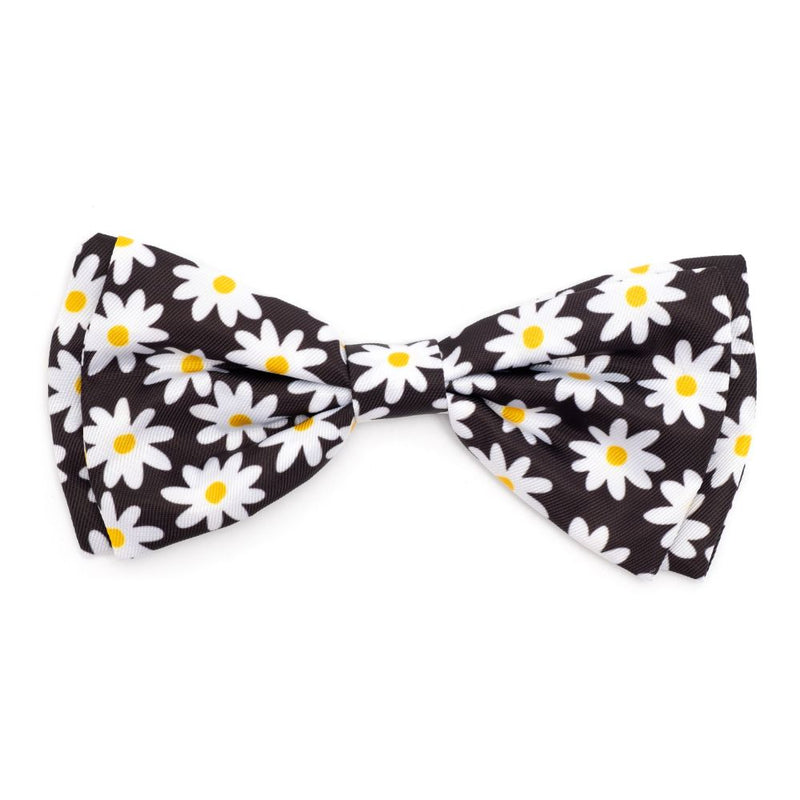 Black Lazy Daisy Collection Neckwear
