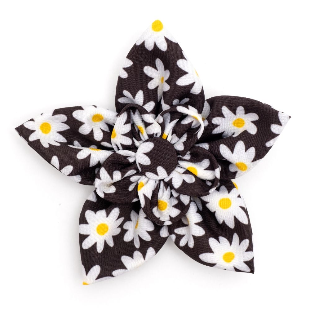Black Lazy Daisy Collection Neckwear