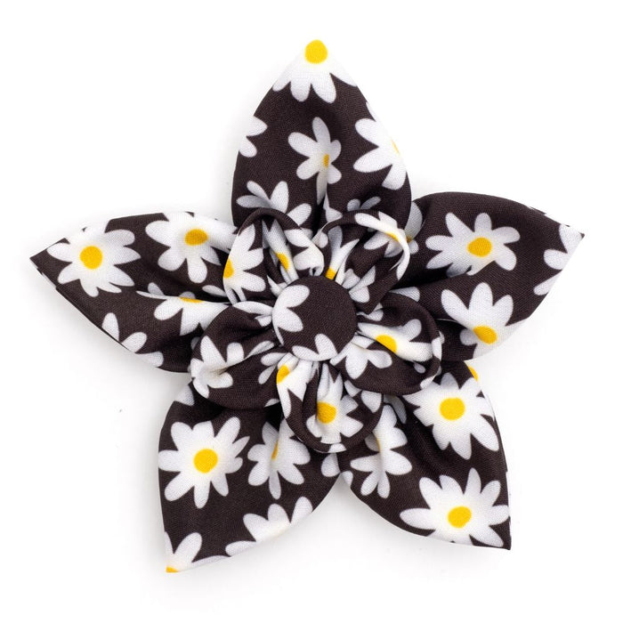 Black Lazy Daisy Collection Neckwear