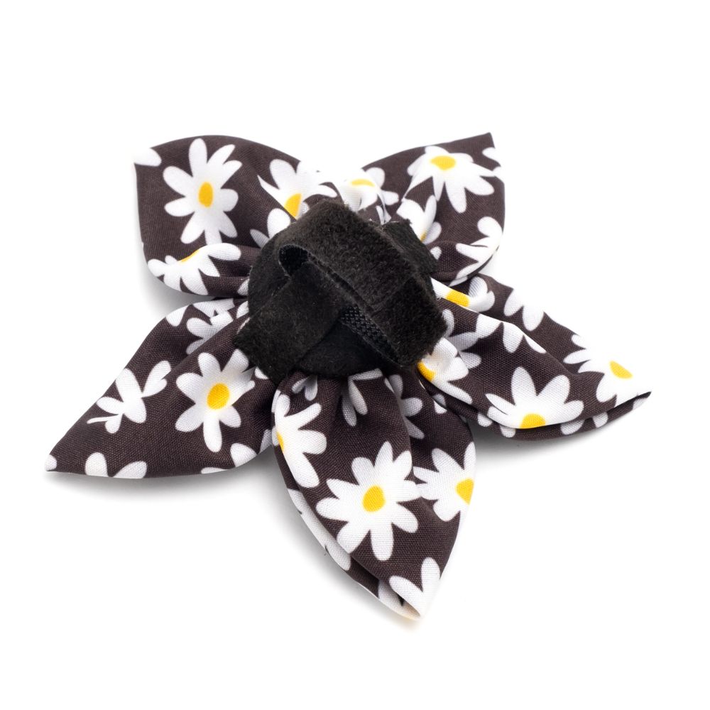 Black Lazy Daisy Collection Neckwear