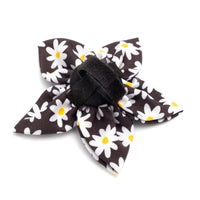 Black Lazy Daisy Collection Neckwear