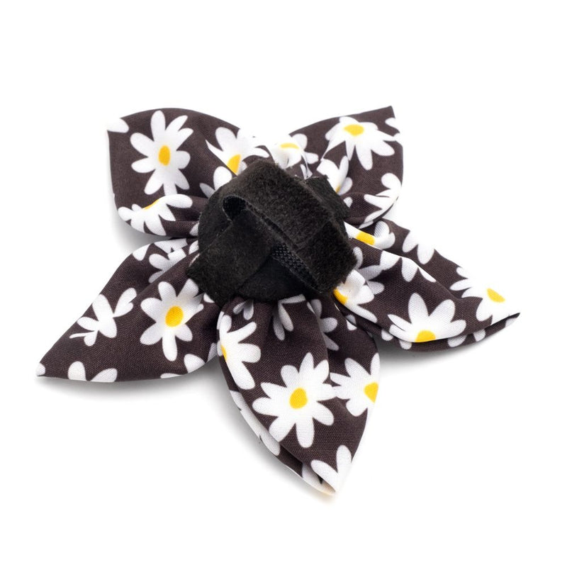 Black Lazy Daisy Collection Neckwear
