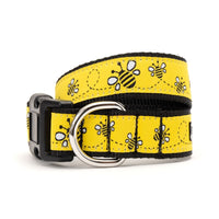 Yellow Bzzz! Collection Dog Collar or Leads
