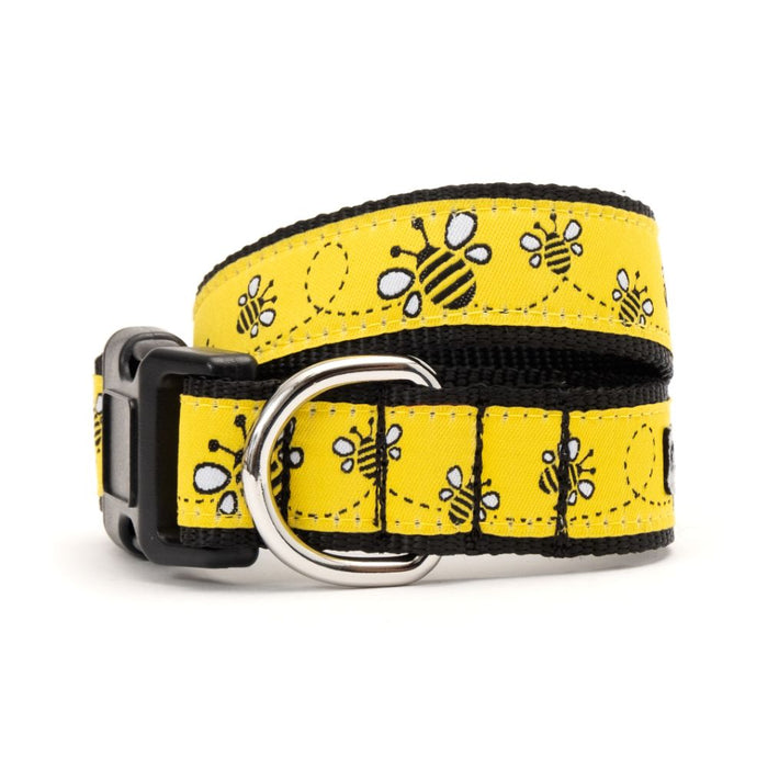 Yellow Bzzz! Collection Dog Collar or Leads