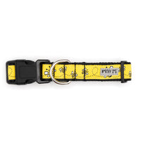 Yellow Bzzz! Collection Dog Collar or Leads
