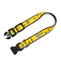 Yellow Bzzz! Collection Dog Collar or Leads