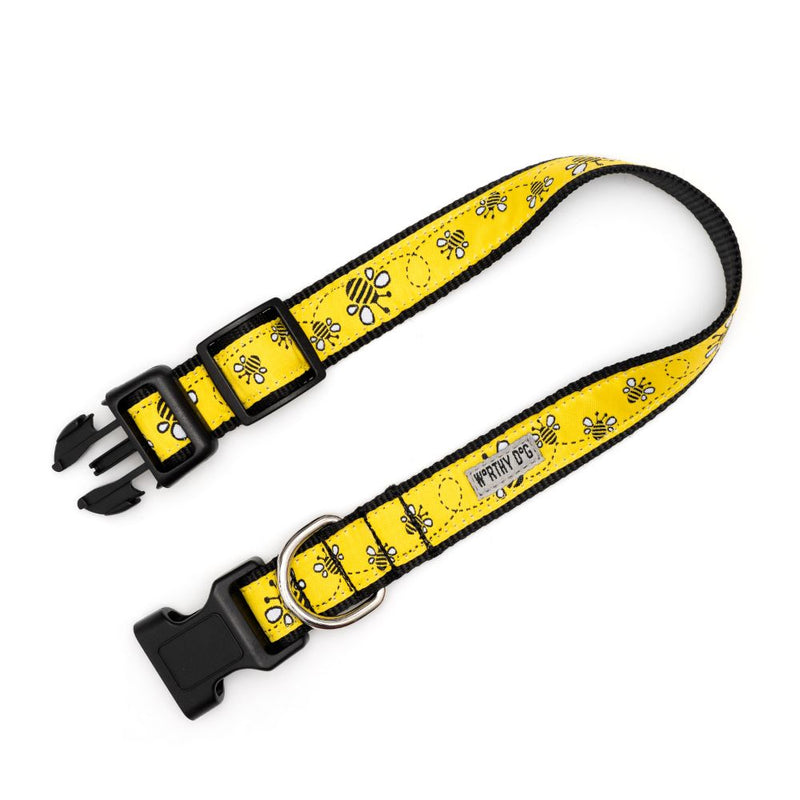 Yellow Bzzz! Collection Dog Collar or Leads