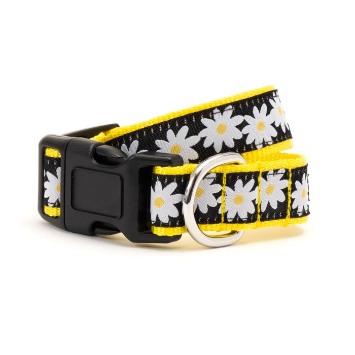 Black Lazy Daisy Dog Collar or Leads