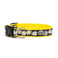 Black Lazy Daisy Dog Collar or Leads