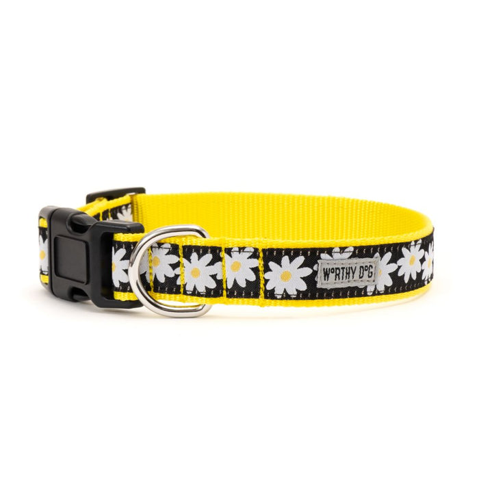 Black Lazy Daisy Dog Collar or Leads