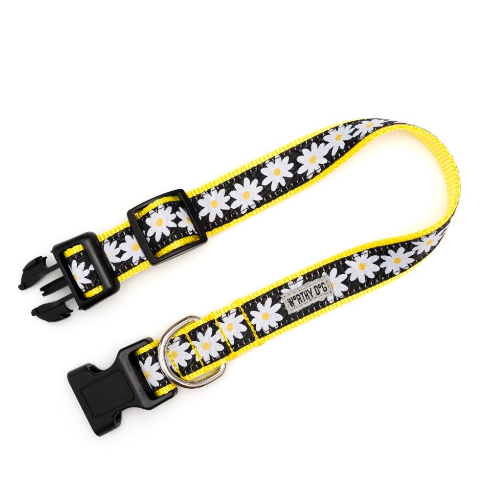 Black Lazy Daisy Dog Collar or Leads