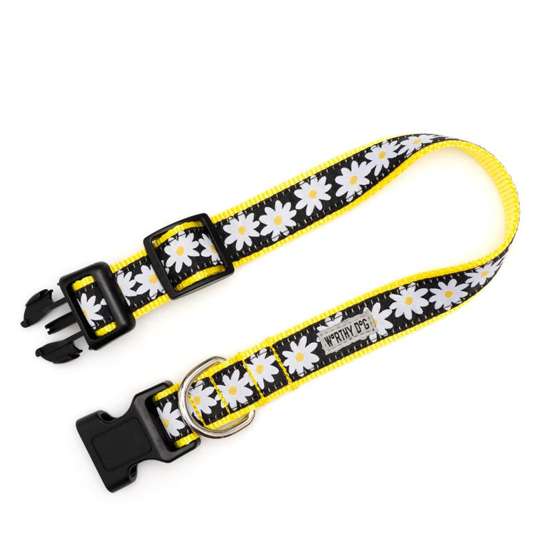 Black Lazy Daisy Dog Collar or Leads