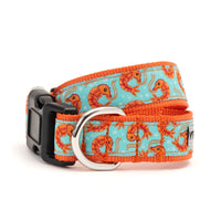 Blue Shrimp Collection Dog Collar or Leads