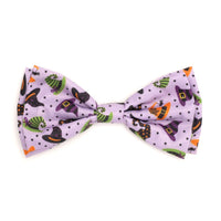 Bewitched Collection Neckwear