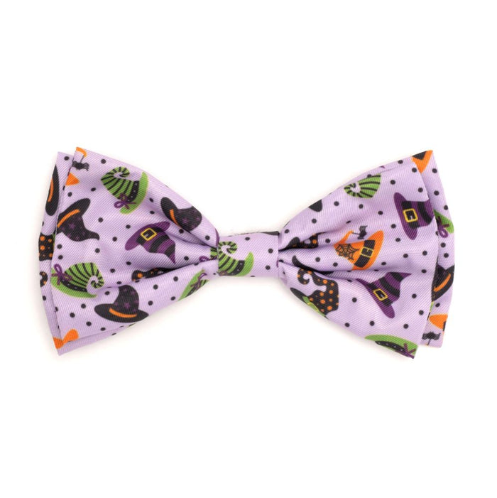 Bewitched Collection Neckwear