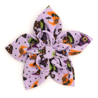 Bewitched Collection Neckwear