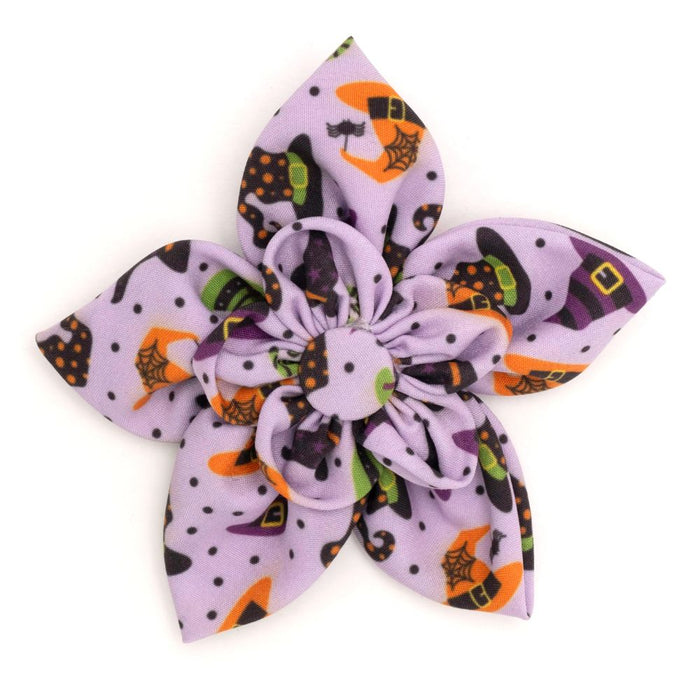 Bewitched Collection Neckwear