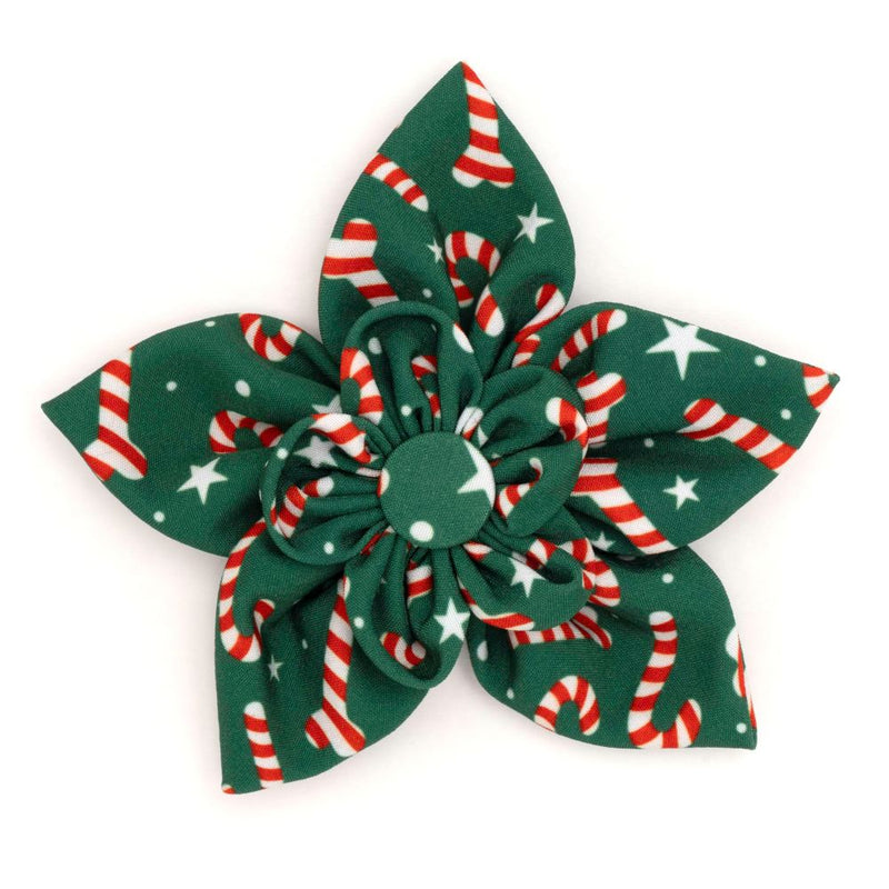 Candy Cane Collection Neckwear