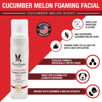 Cucumber Melon Foaming Facial - Professional Size - Refill