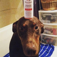 Exfoliating Butter Wash - 2 Scents