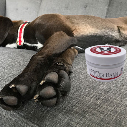 Hydrating Butter Balm - For Nose and Paws