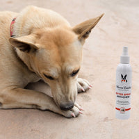Dog Bitter Spray Anti-Chew - Anti-Lick