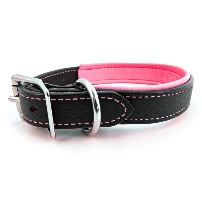 Black Padded Leather Collars with Accent Colors