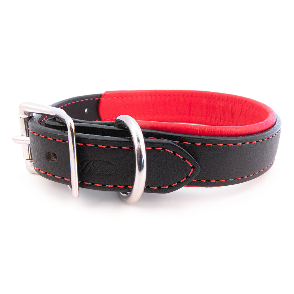 Black Padded Leather Collars with Accent Colors