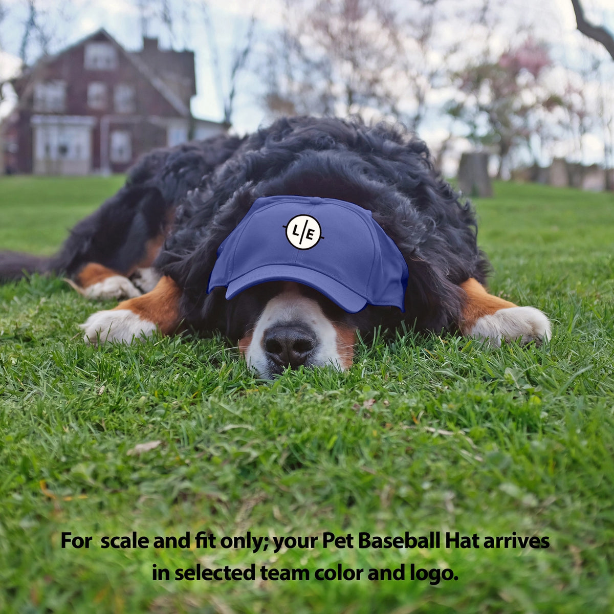 New York Yankees Pet Baseball Hat