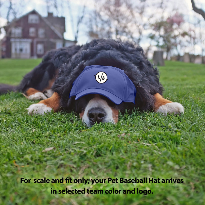 New York Yankees Pet Baseball Hat