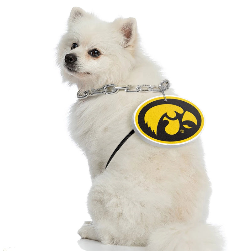 IA Hawkeyes Pet Fan Chain