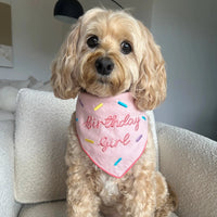 Birthday Girl Pet Bandana