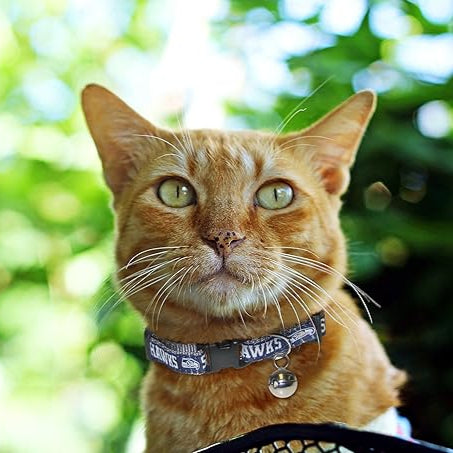 Seattle Seahawks Cat Collar