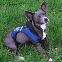 AR Razorbacks Hooded Harness