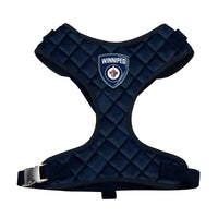 Winnipeg Jets Velvet Harness