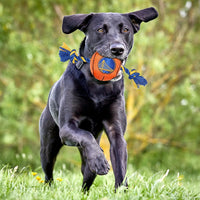 Golden State Warriors Ball Rope Toys