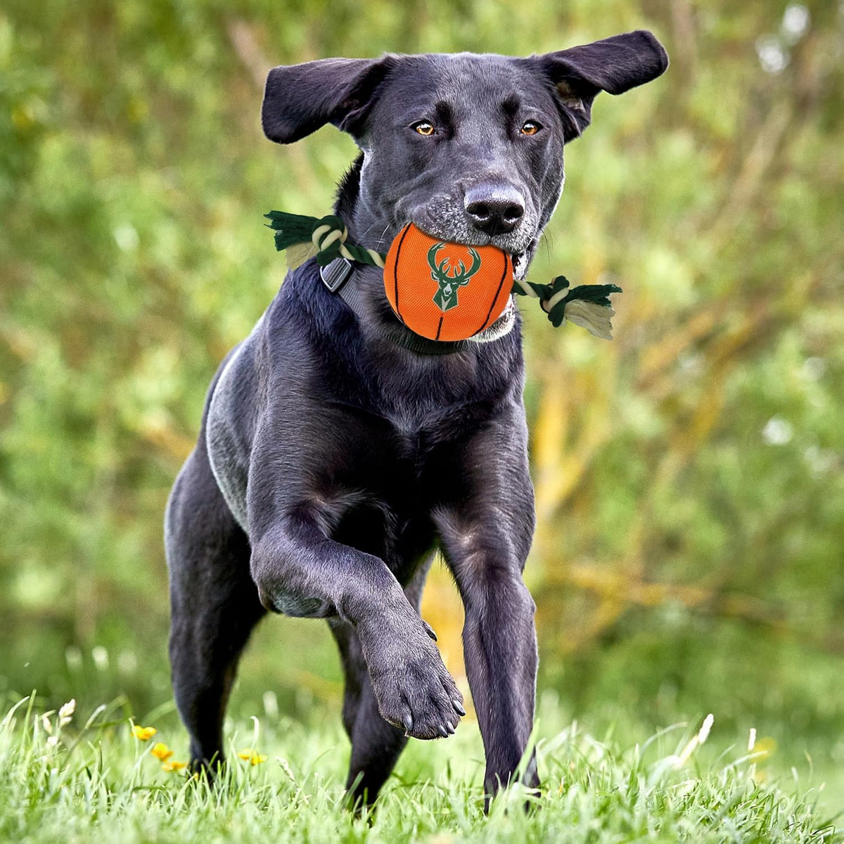 Milwaukee Bucks Ball Rope Toys