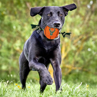 Milwaukee Bucks Ball Rope Toys