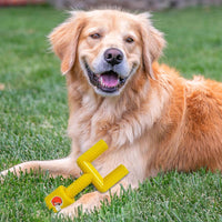 Cleveland Browns Nylon Goal Post Chew Toy