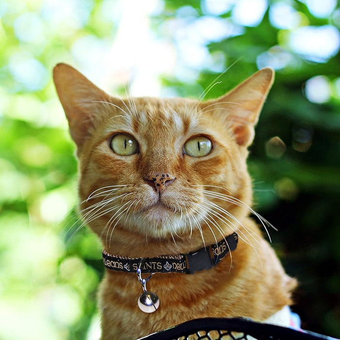 New Orleans Saints Cat Collar