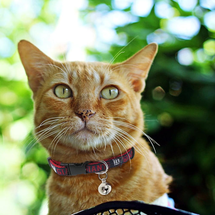 New York Giants Cat Collar