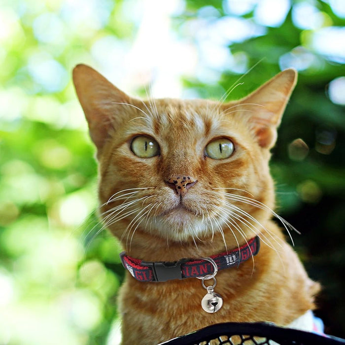 New York Giants Cat Collar - Ready to ship