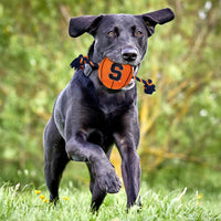Syracuse Orange Ball Rope Toys