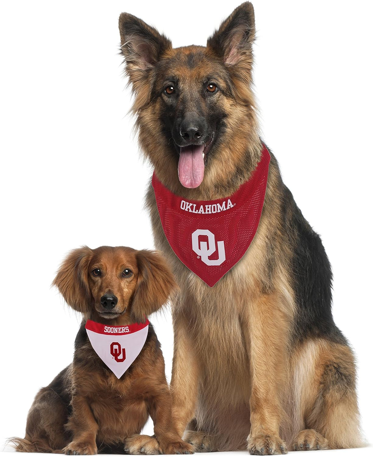 IN Hoosiers Reversible Slide-On Bandana