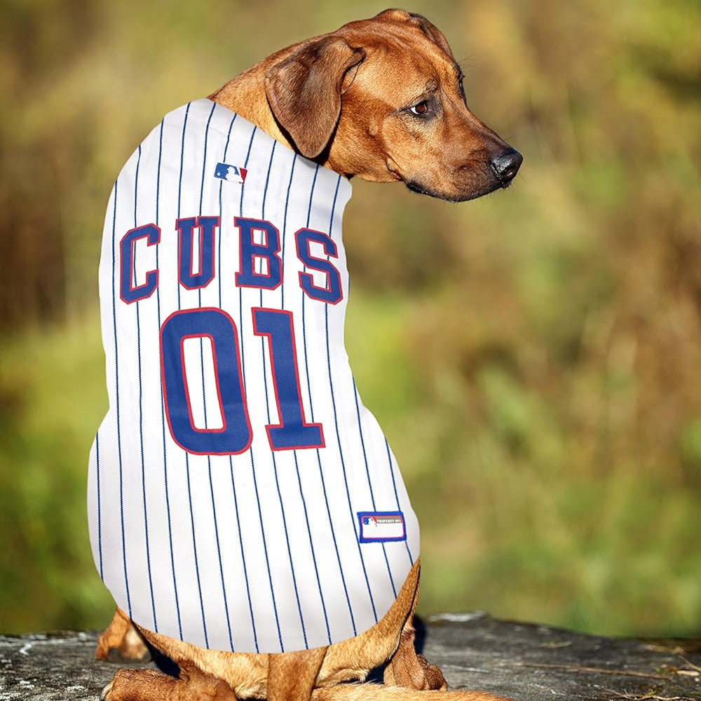 Chicago Cubs Pet Jersey