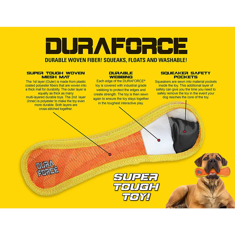 DuraForce Fish Tough Toy