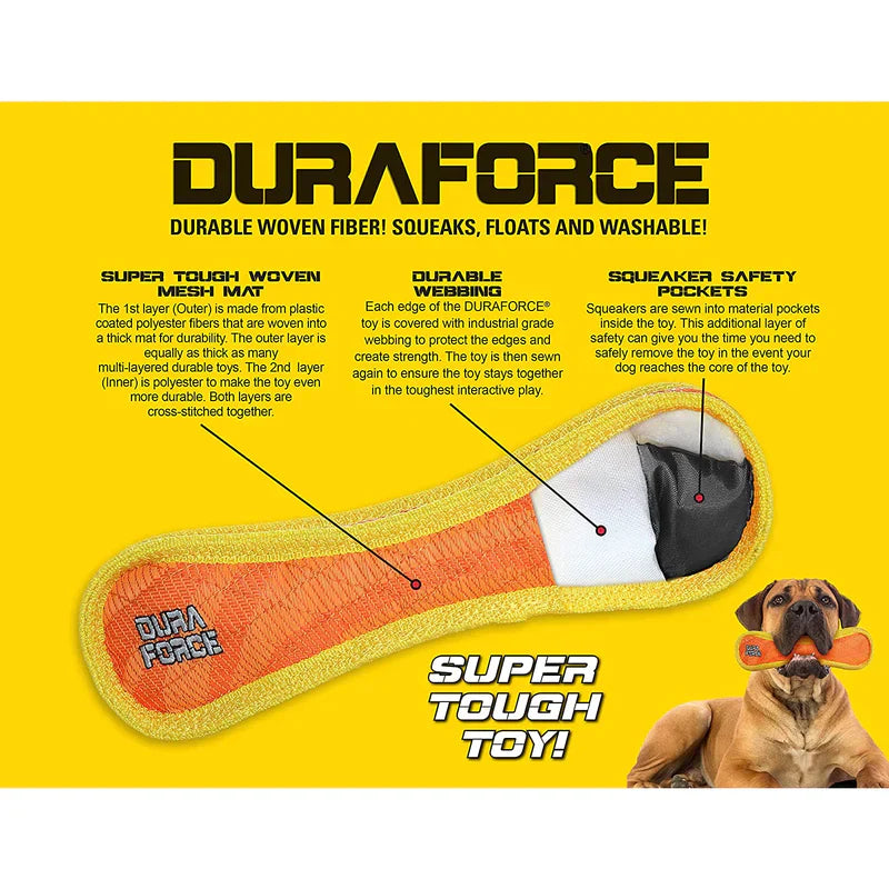DuraForce Seahorse Tough Toy